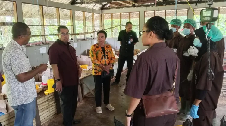 Uji Kompetensi Kejuruan SMKN 4 Jayapura Masuki Tahap Puncak